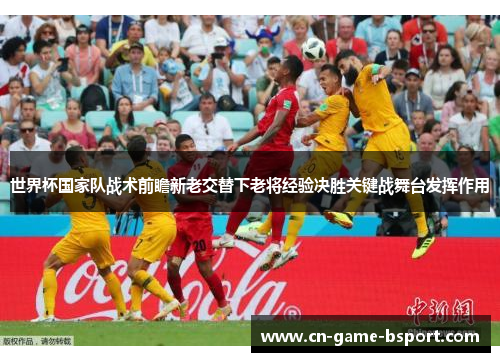 世界杯国家队战术前瞻新老交替下老将经验决胜关键战舞台发挥作用