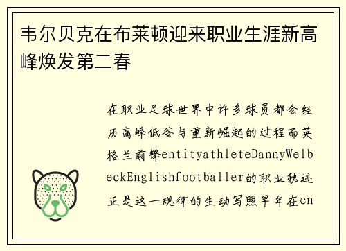 韦尔贝克在布莱顿迎来职业生涯新高峰焕发第二春