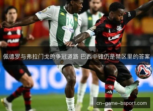 佩德罗与弗拉门戈的争冠道路 巴西中锋仍是禁区里的答案
